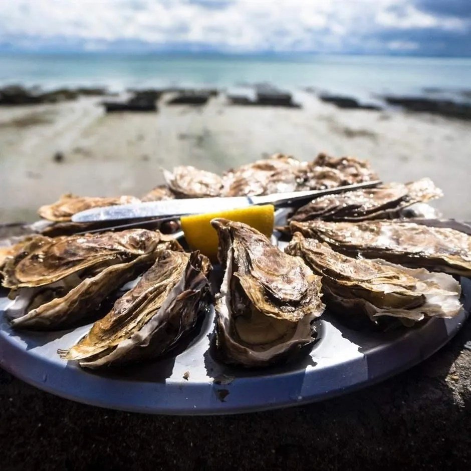 Oyster Bars Corpus Christi Waterfront Offer Fresh Coastal Flavors